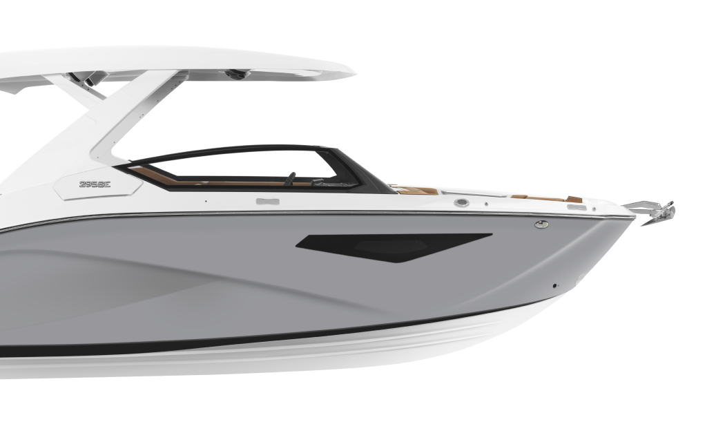 295SE-2.png